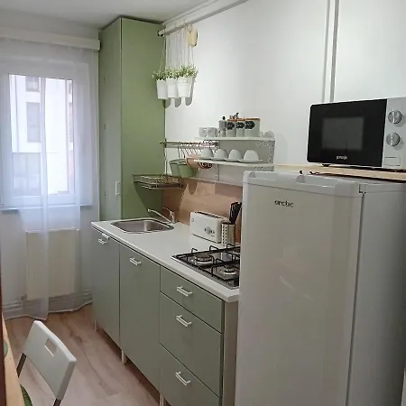 Apartment Harmonyhouse Brasov